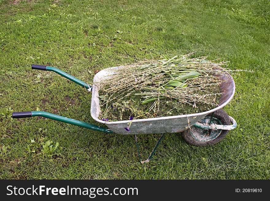 Wheelbarrow full of compost