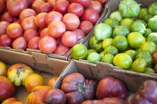 Farm Tomatoes Stock Images Farm Tomatoes Stock Images