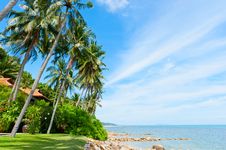 Beautiful House With Palm Trees On The Beach Stock Image Beautiful House With Palm Trees On The Beach Stock Image