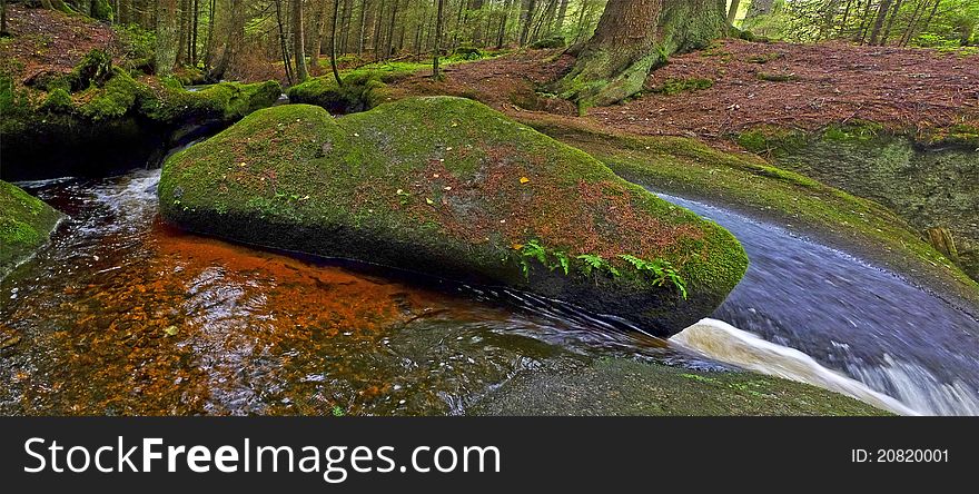 Brook with big stone