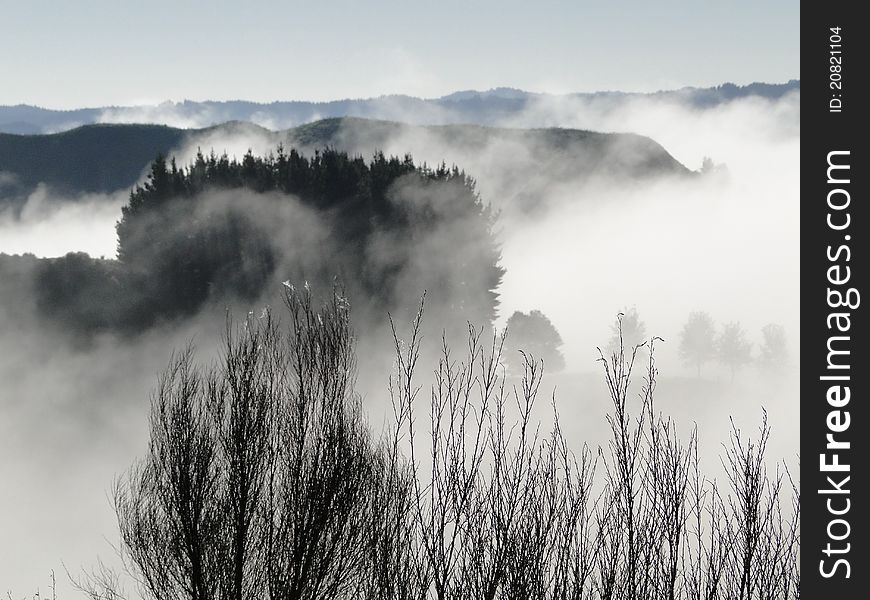 Hills covered in mist New Zealand. Hills covered in mist New Zealand