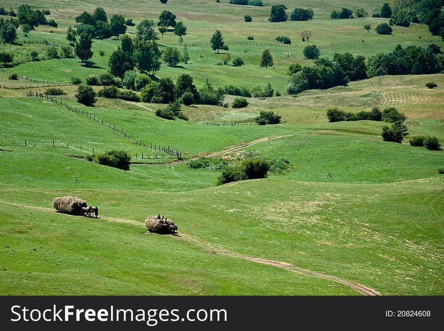 Green Rolling Hills And Farmers Collecting Hay