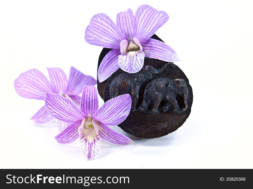 The carving of elephant on top of wood box with orchid flowers. The carving of elephant on top of wood box with orchid flowers.