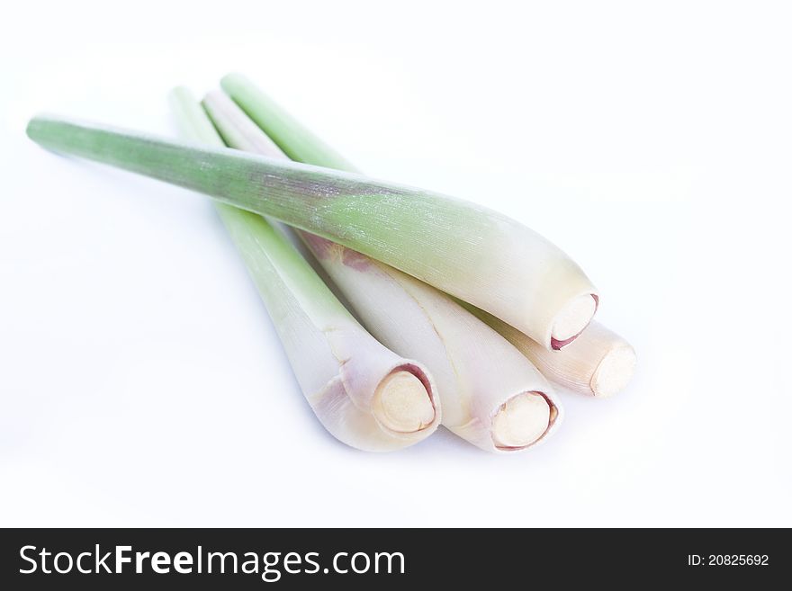 Fresh Lemon Grass on white background