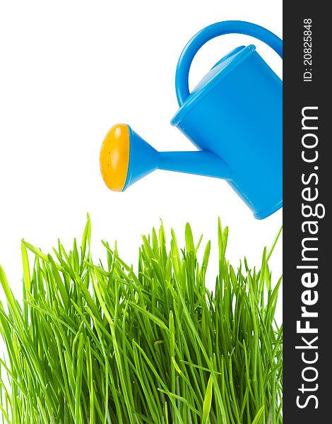 Blue watering can and green grass