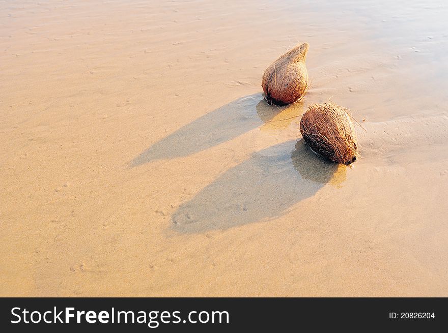 Two coconut on the sandy sea shore. Two coconut on the sandy sea shore