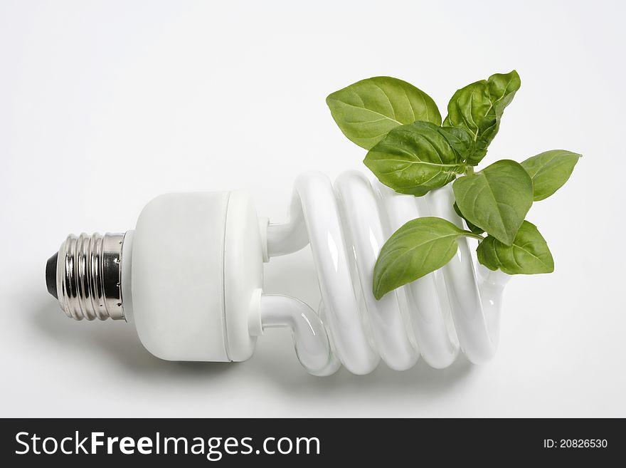 Light bulb with the small crops growing from it. Light bulb with the small crops growing from it.