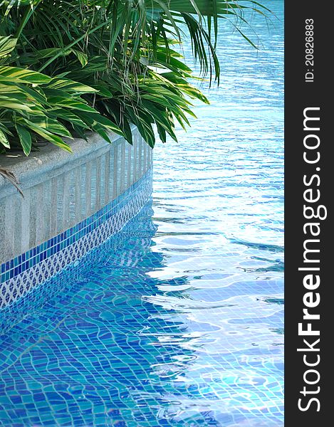 Green plant beside of swimming pool, shown as beautiful green and blue color matching and texture of plant and water.