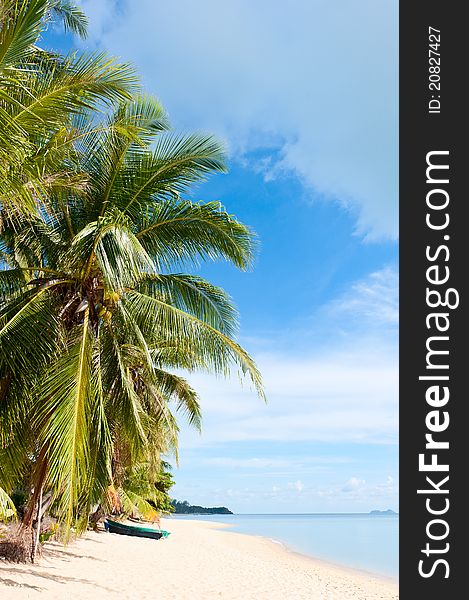 Tropical beach with coconut palm trees at Seychelles. Tropical beach with coconut palm trees at Seychelles