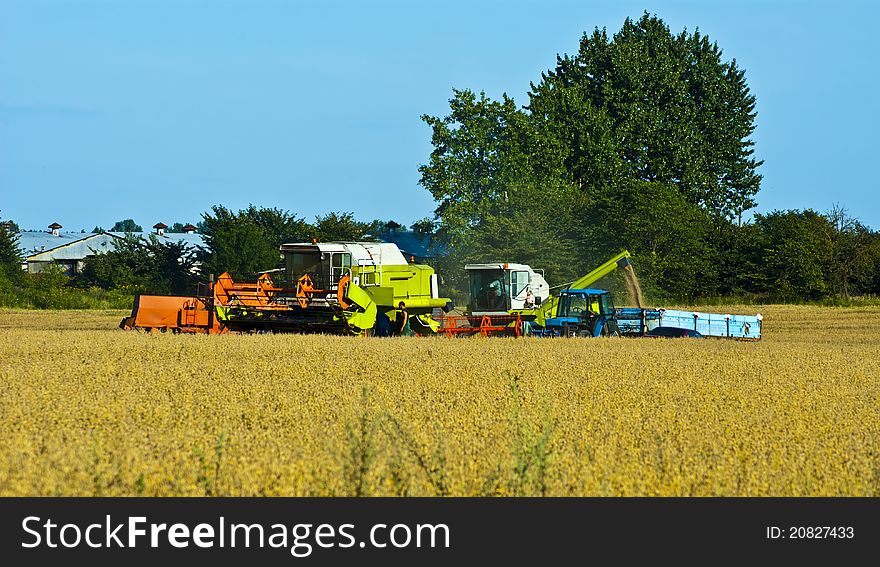 Combine harvesting wheat in August. Combine harvesting wheat in August