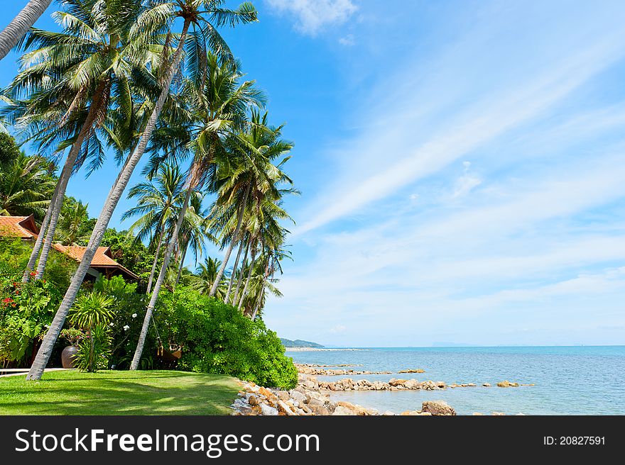 Beautiful House With Palm Trees On The Beach