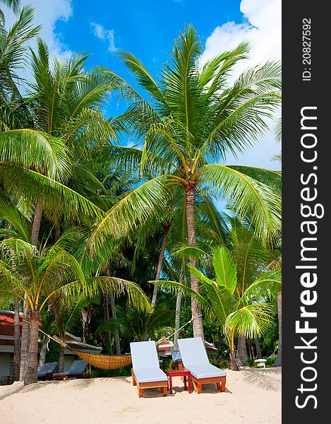 Beach Chairs On Perfect Tropical White Sand Beach