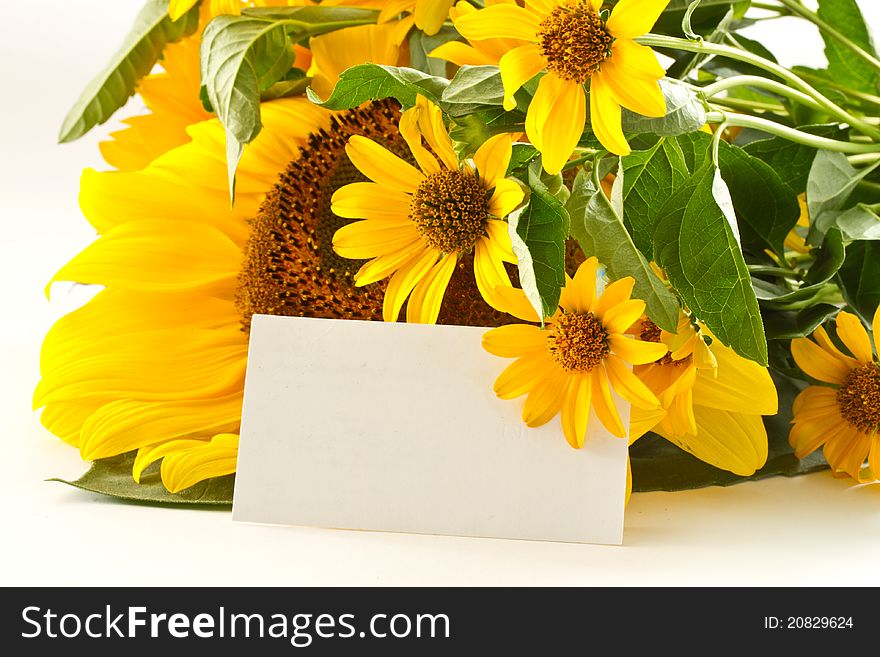 Beautiful bouquet of orange on a white background Chamomile