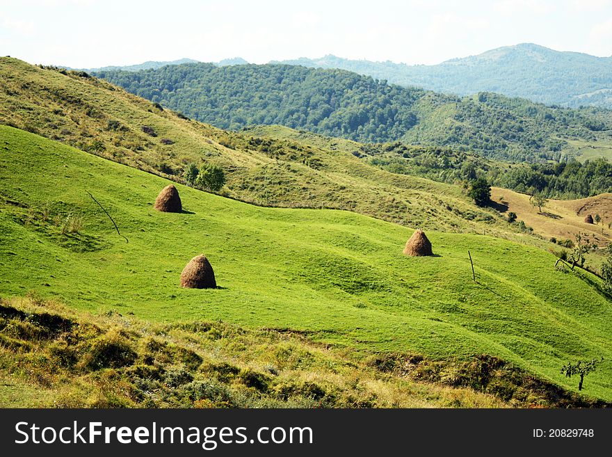 Green landscape with hay bales