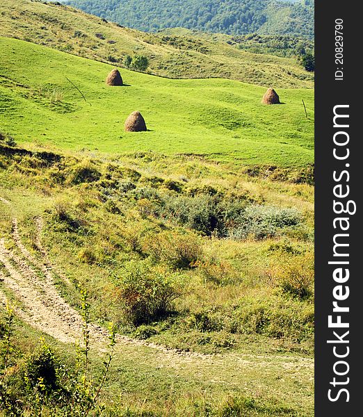 Landscape With Hay Bales