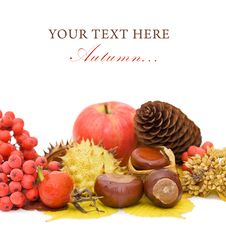 Autumn Leaves And Fruits Royalty Free Stock Image Autumn Leaves And Fruits Royalty Free Stock Image