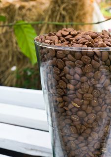 Brown Coffe Beans Royalty Free Stock Photo Brown Coffe Beans Royalty Free Stock Photo