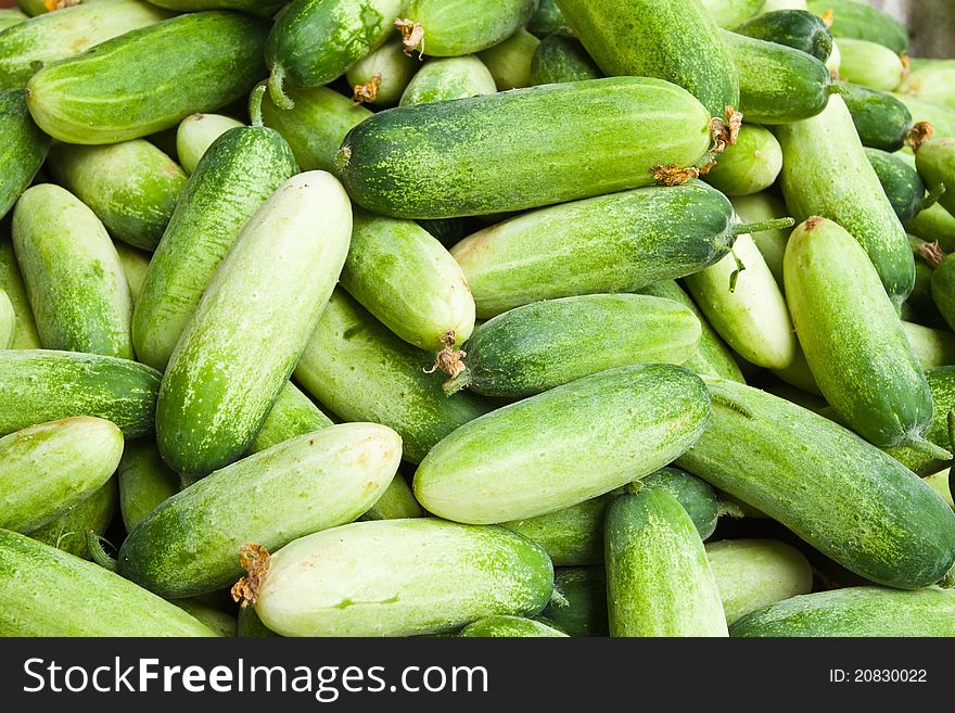 Pile of cucumber in fresh market , asian style vegetable , closeup background