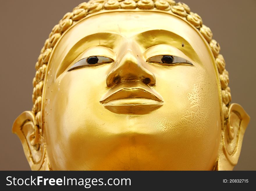 Face Of The Buddha