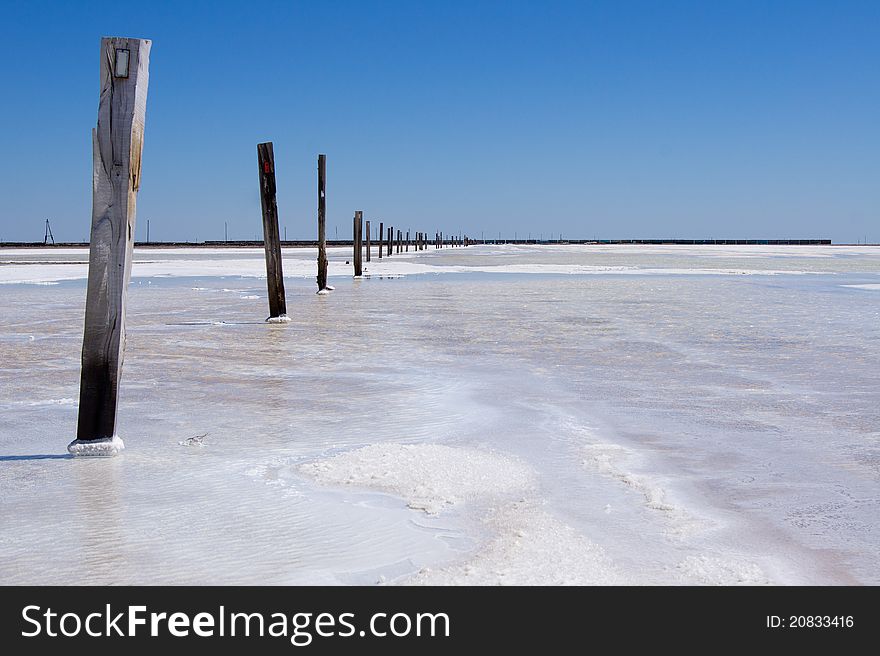 Old Wooden Poles On The Lake