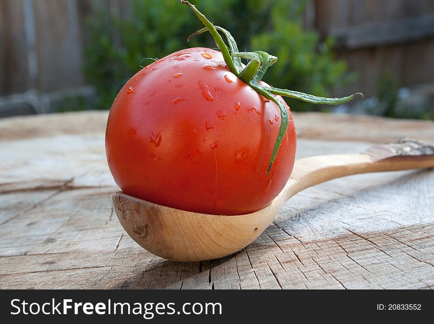 Tomato And Wooden Spoon