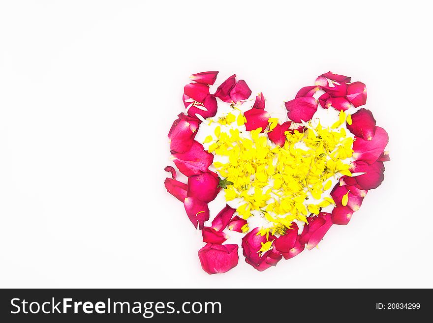 Heart shape of pink rose pital isolate on white background