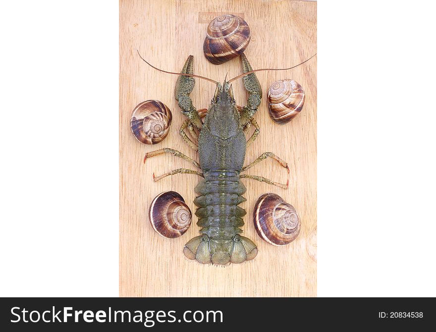 Live Crayfish on a wood with snails befor a food making