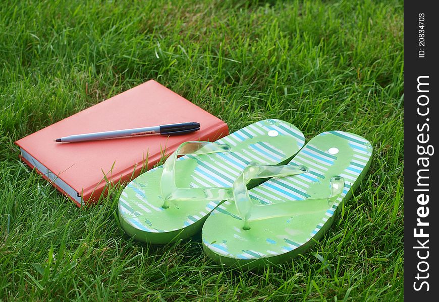 Summer diary in the grass