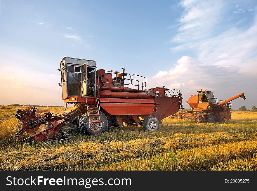 Harvesters in the field. Harvesting combines. Harvesters in the field. Harvesting combines.