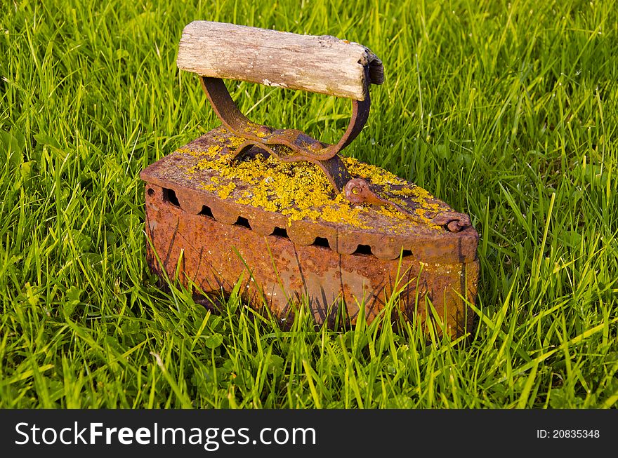 Vintage and rusted iron and green grass