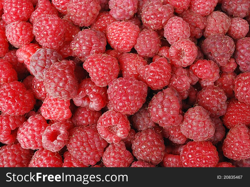 Background from ripe berries of a raspberry. Background from ripe berries of a raspberry