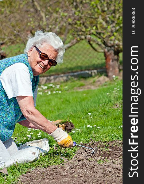 Portrait of a senior woman in a garden. Portrait of a senior woman in a garden.