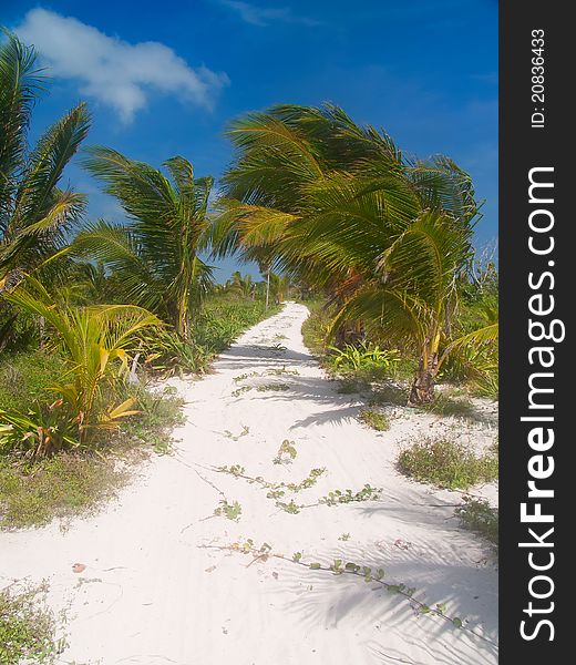 View of the Caribbean beach.