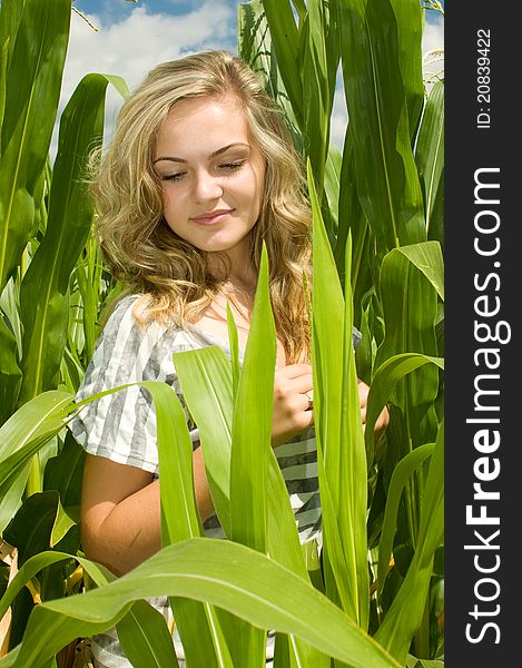 Beautiful young woman in a sweetcorn field