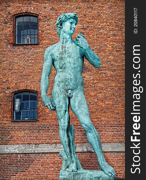 Michelangelo  David Statue