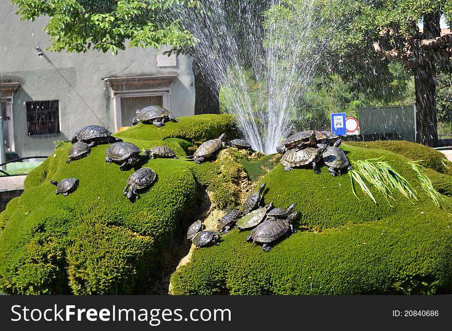 Fountain With Water Turtles