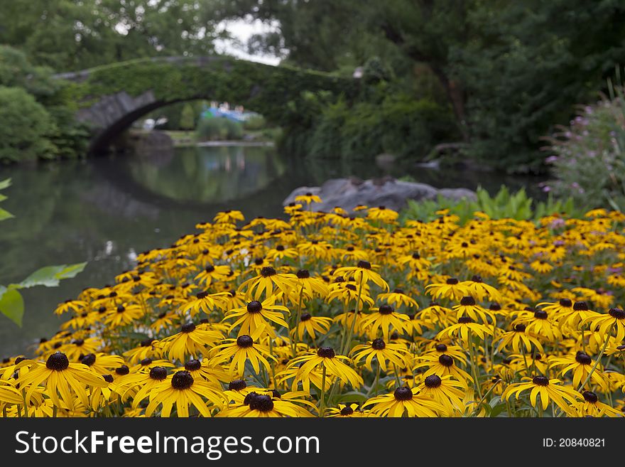 Central Park at Gapstow bridge