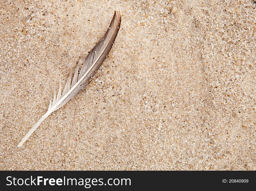 Feather In The Sand