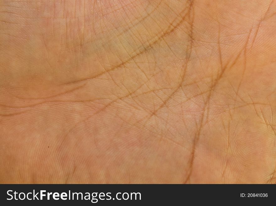 Close-up of human hand. Background or texture
