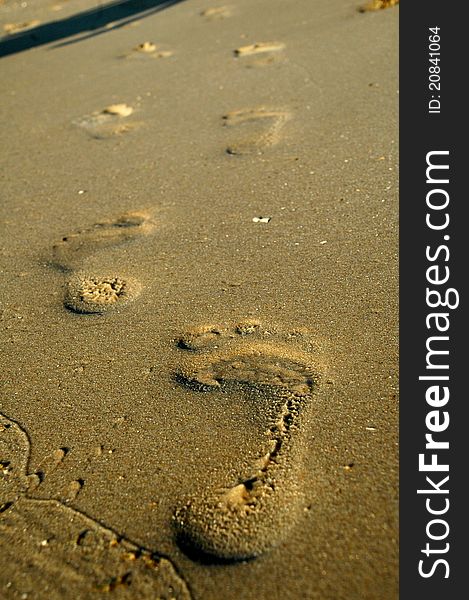 Footprints in the sand stretching into the distance. Footprints in the sand stretching into the distance