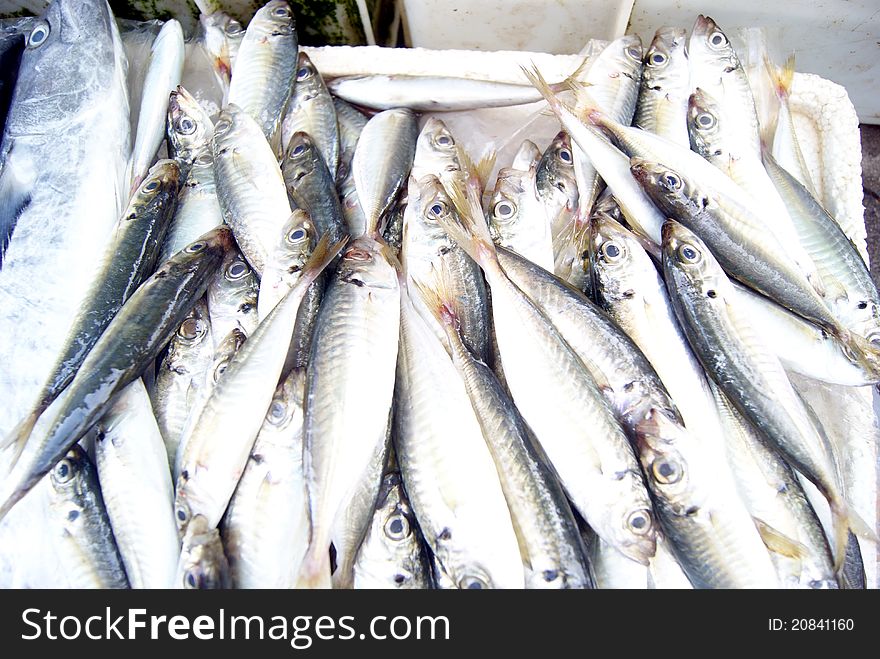 Seafood market of fish, very fresh. This is people like to eat one of the special seafood. A close-up of fish.