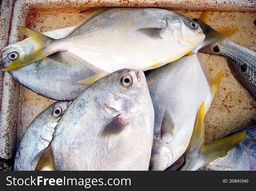 Seafood market of fish, very fresh. This is people like to eat one of the special seafood. A close-up of fish.