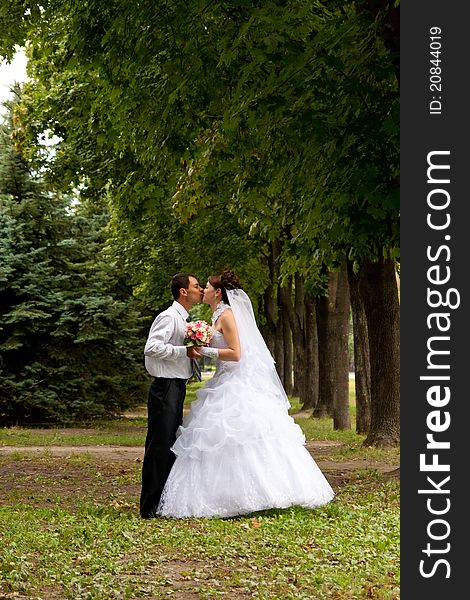 Happy bride and groom kissing in the green alley