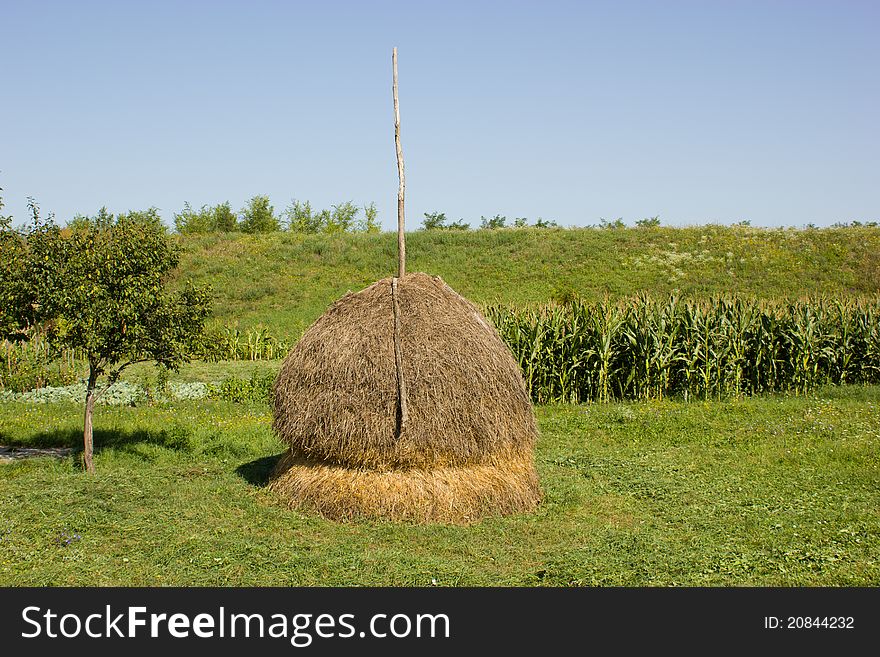 Hayrick (haystack) near the garden with vegetables