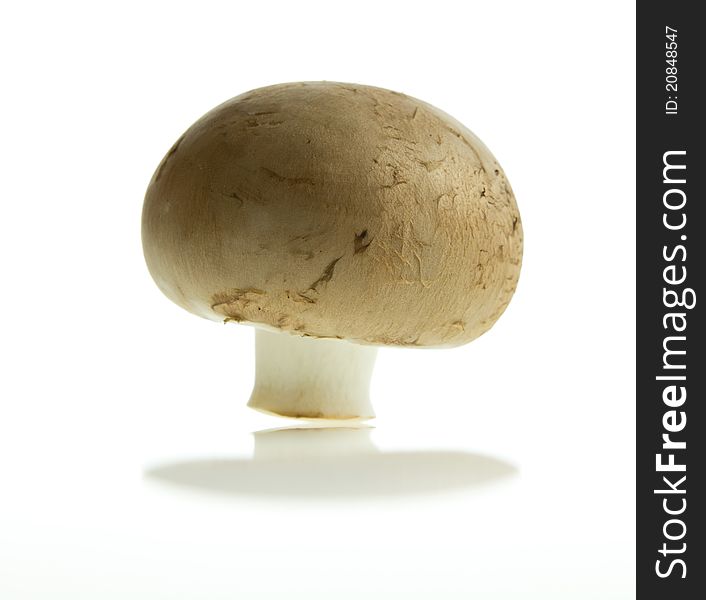 Brown champignon on white background