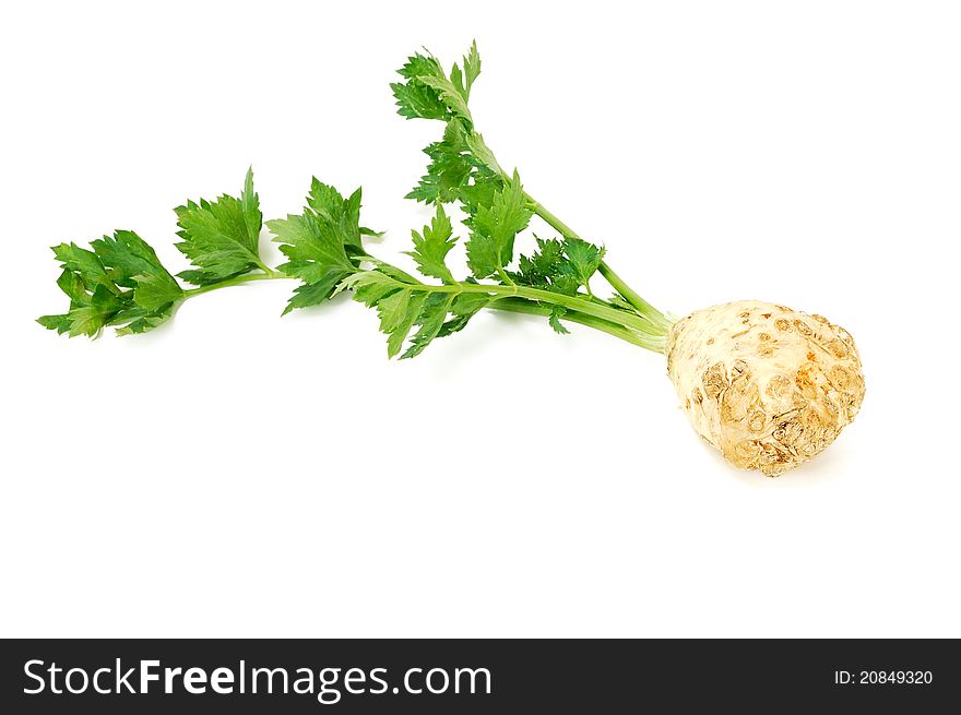 Root of a celery with leaves on a white background. Root of a celery with leaves on a white background