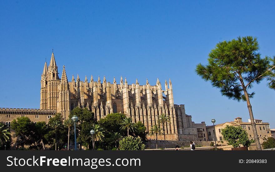 Antique cathedral in Palma de Mallorca with trees around it.