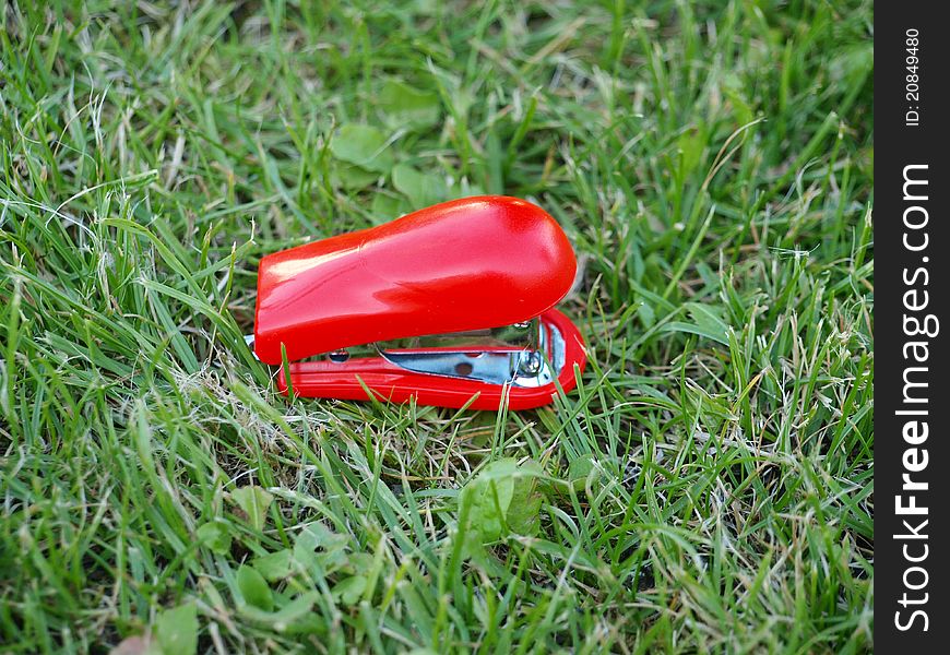 Red stapler in the grass