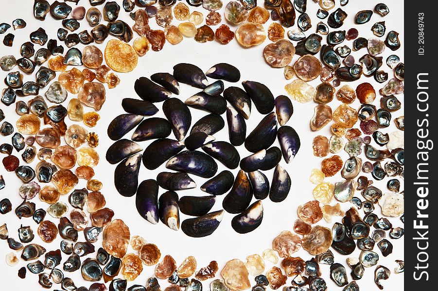 Abstract background made from natural black and colorful seashells of different kinds on white. Abstract background made from natural black and colorful seashells of different kinds on white.