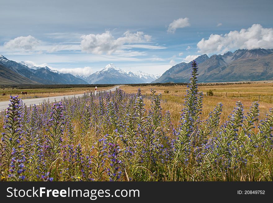 Mountain Scape Of Mt. Cook, New Zealand